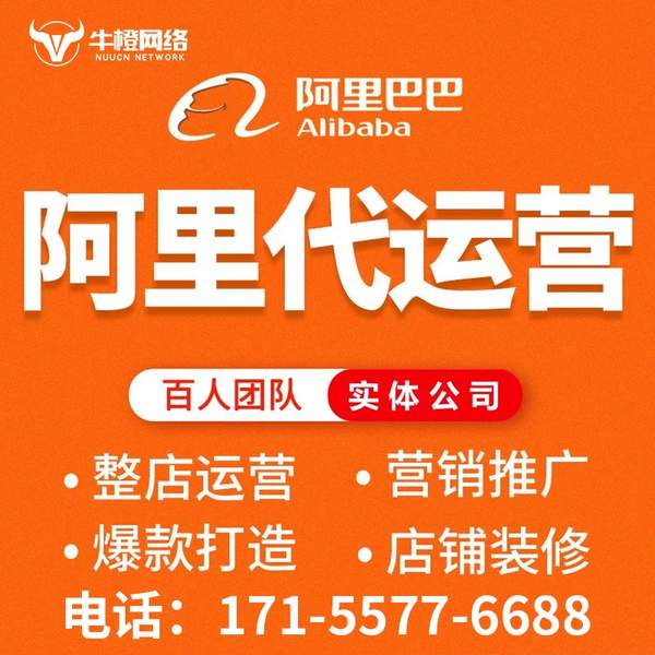 山南电商代运营