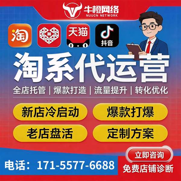 山南电商代运营