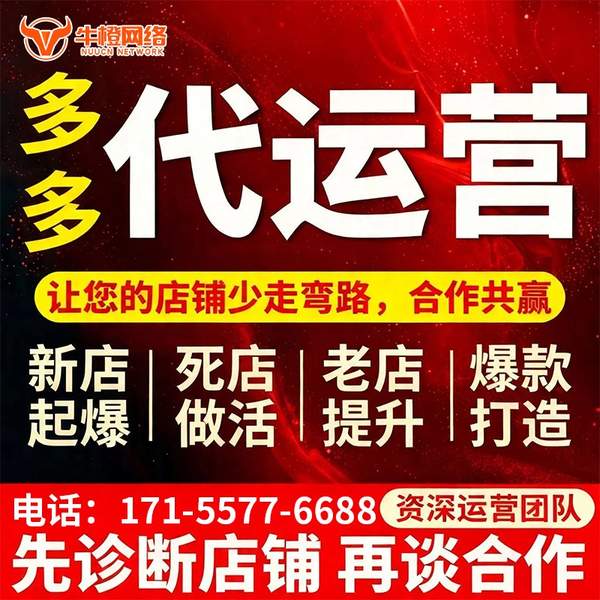 山南电商代运营