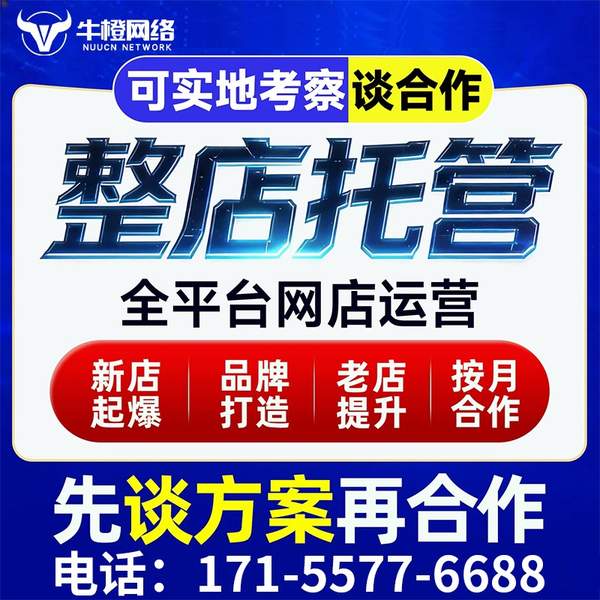 山南电商代运营