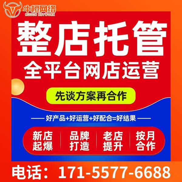 山南电商代运营