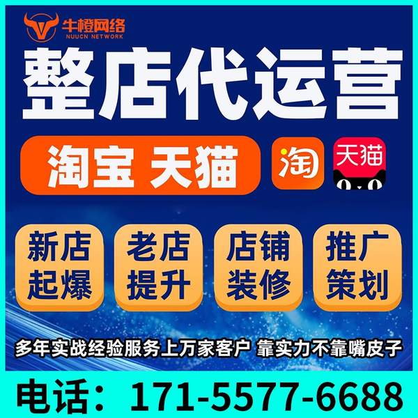 山南电商代运营