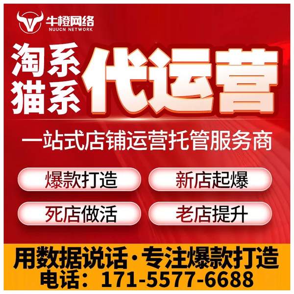 山南电商代运营